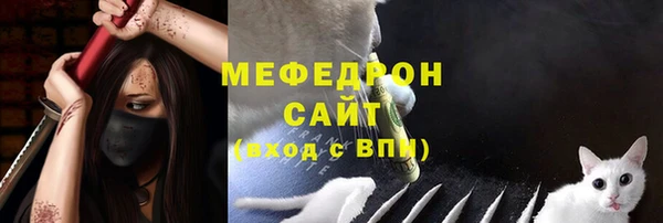стафф Арсеньев