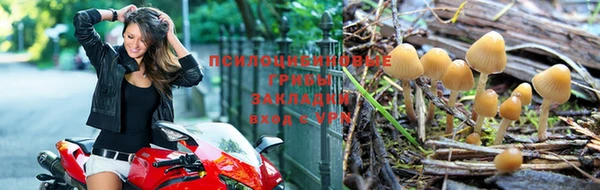 меф Балахна